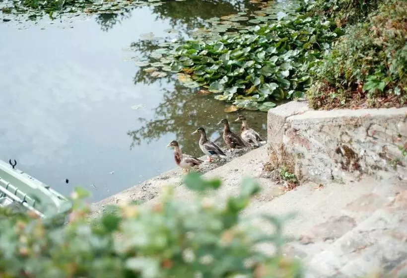 Aamiaismajoitus (B&B) Maison D'hôtes Les Escures