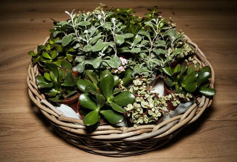 민박 Maison D'hôtes Les Escures