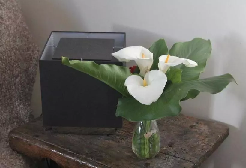 Aamiaismajoitus (B&B) Manoir De La Queue Du Renard