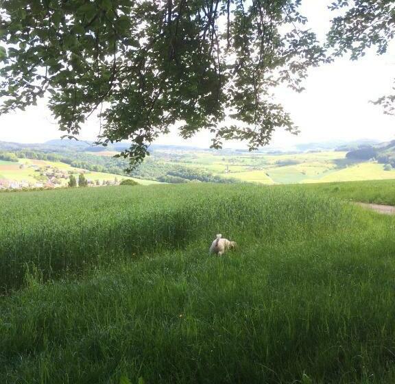 ベッドアンドブレックファースト Pension Chesselberg