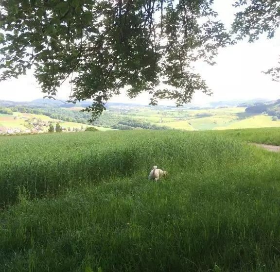 Aamiaismajoitus (B&B) Pension Chesselberg