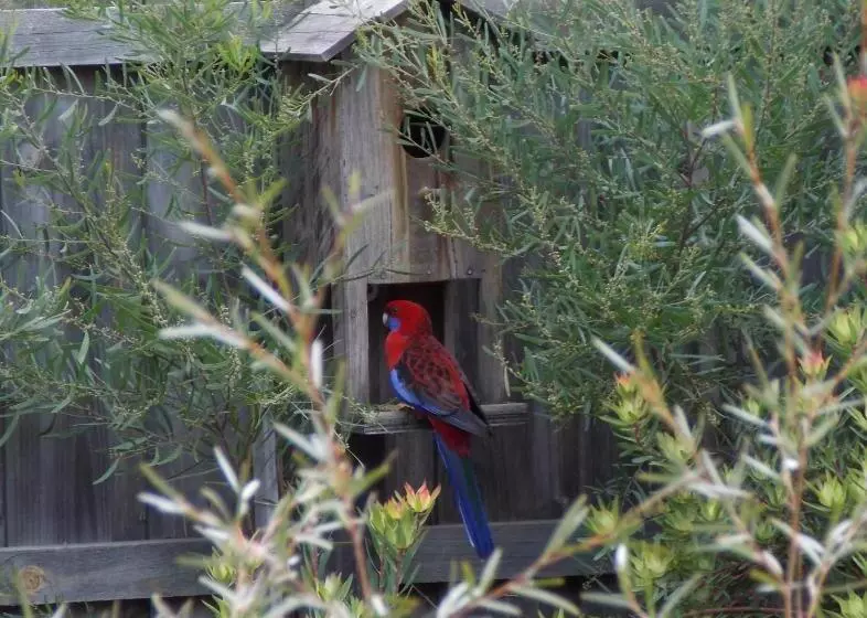 ベッドアンドブレックファースト Port Mccrae