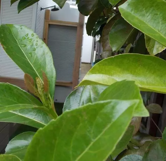 ベッドアンドブレックファースト Port Mccrae