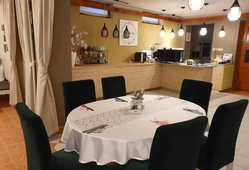 Aamiaismajoitus (B&B) Sólyomvár Lak