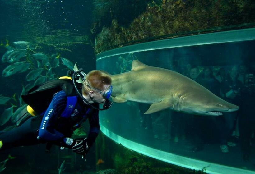 Chambres D'hôtes B&b Cote D'opale La Fermette Du Lac
