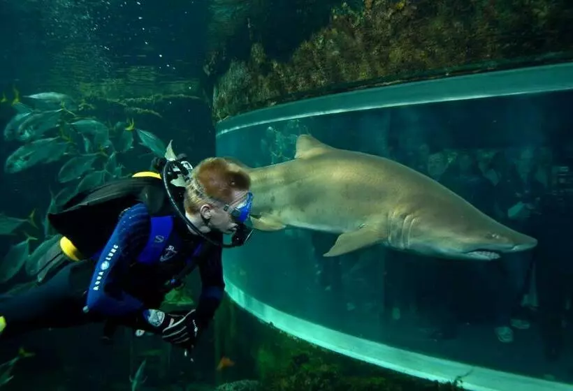 Chambres D'hôtes B&b Cote D'opale La Fermette Du Lac