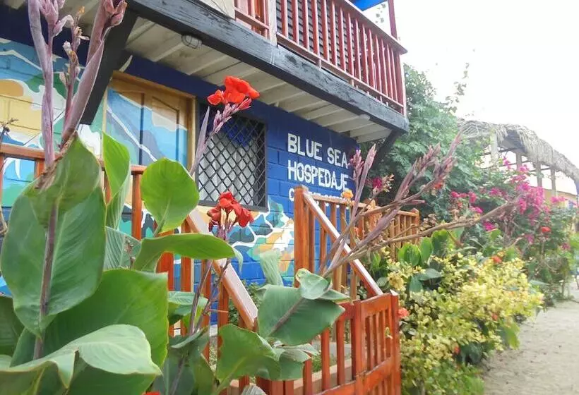 Hostel Blue Sea Rincon Del Mar