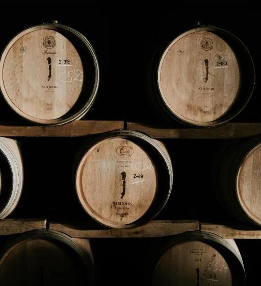 Отель Kristinus Borbirtok