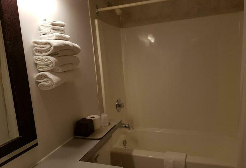 Отель Prospector Inn