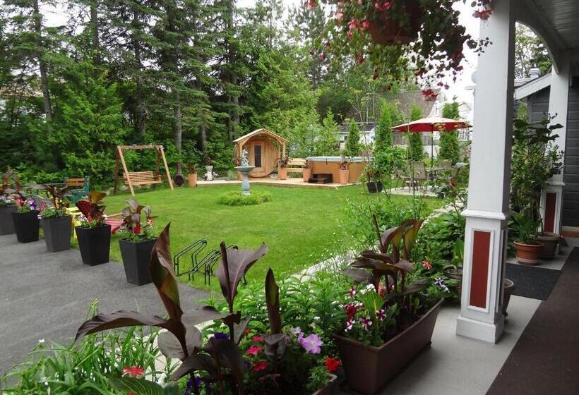 فندق Saint Donat