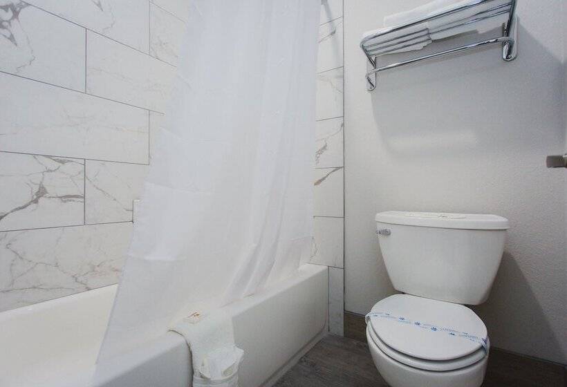 汽车旅馆  Palace Inn 529