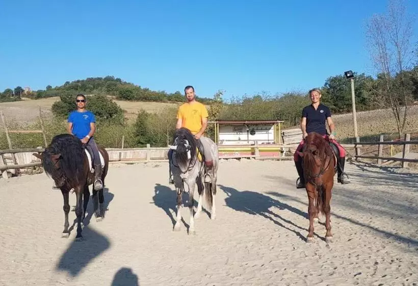 ペンション La Locanda Dei Cavalieri Affittacamere