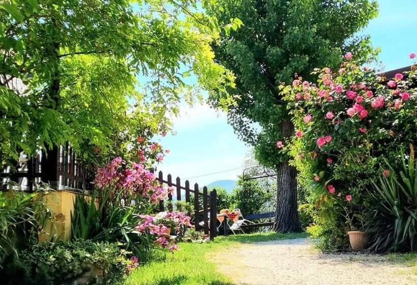 ペンション La Locanda Dei Cavalieri Affittacamere