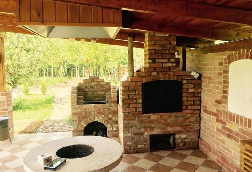 פנסיון Szamos Party Vendégház