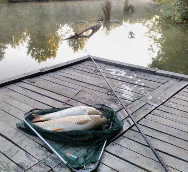 ペンション Szamos Party Vendégház