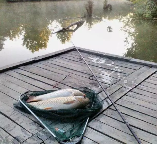 Majatalo Szamos Party Vendégház