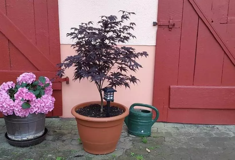 Majatalo Zur Dorfschänke