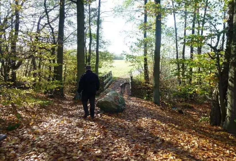 Majatalo Zur Dorfschänke