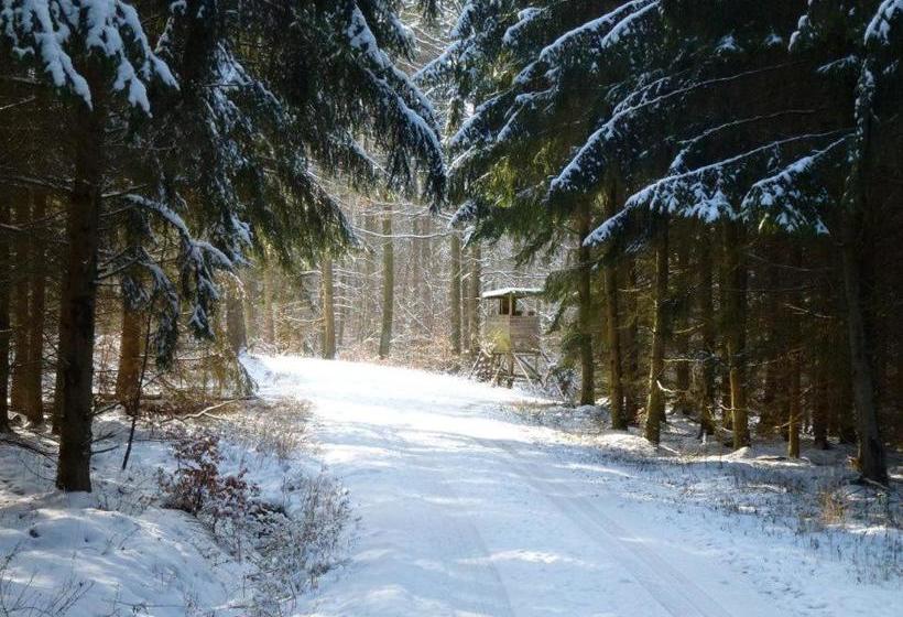 פנסיון Zur Dorfschänke