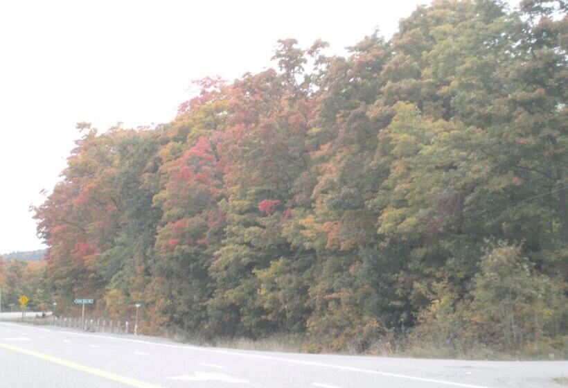 The Village Inn Motel