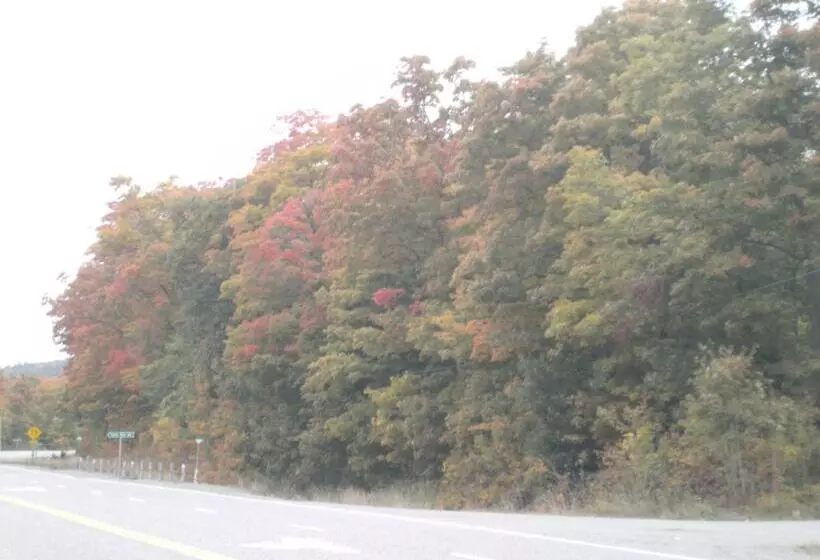 The Village Inn Motel