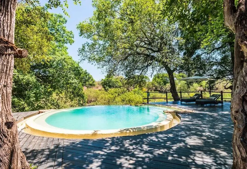 ホテル Aha Makalali Private Game Reserve