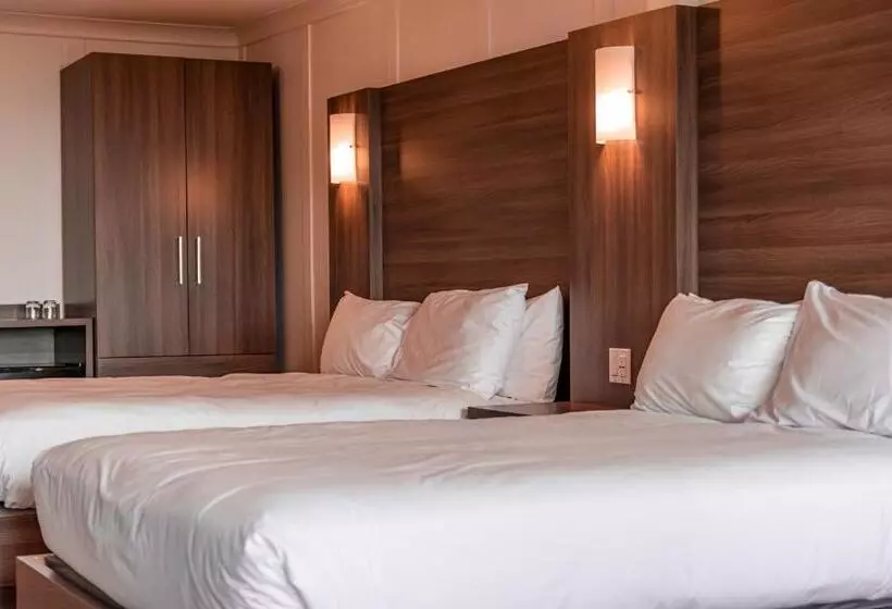ホテル Auberge Des 3 Canards