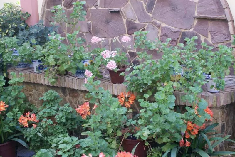 Hotel Maximiano Herculeo