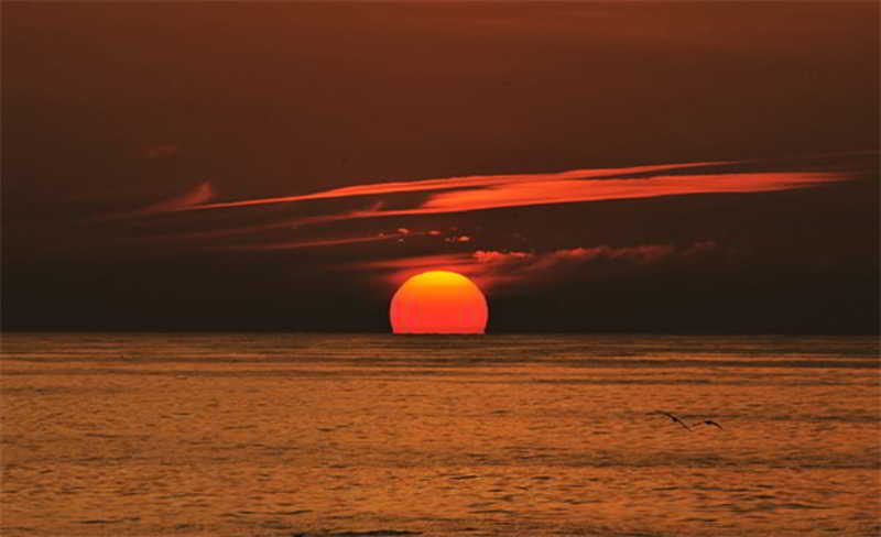 Rosamar Apartamentos