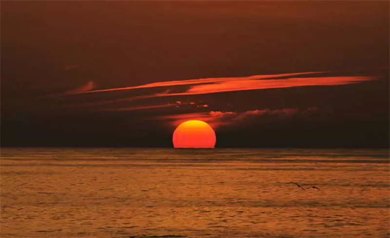 Rosamar Apartamentos