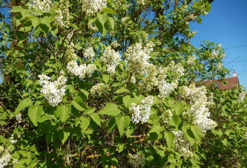 Bed and Breakfast Chambres D Hôtes   Domaine Des Perrières