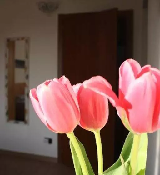 Aamiaismajoitus (B&B) I Due Orfici