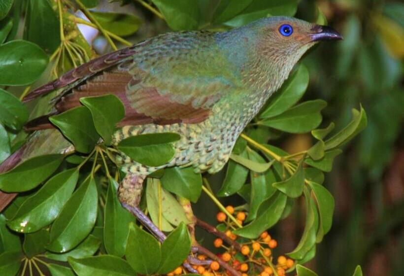 צימר Yarrahapinni Homestead