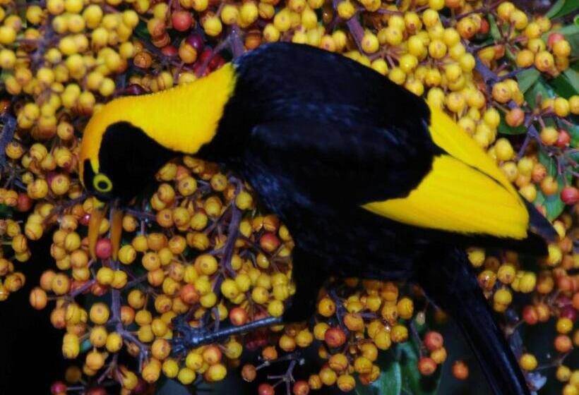 צימר Yarrahapinni Homestead