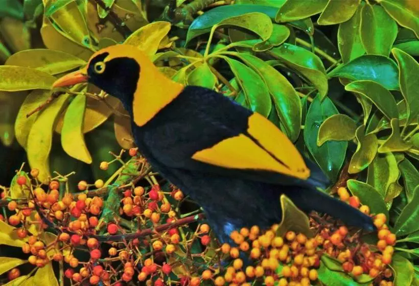 ベッドアンドブレックファースト Yarrahapinni Homestead