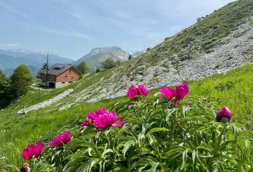 ホテル Agriturismo Le Castellare