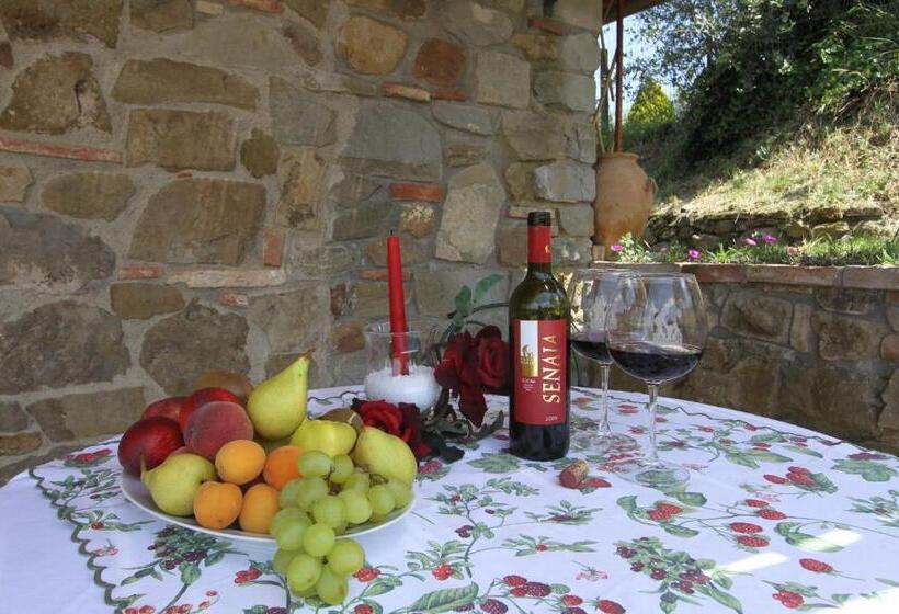 호텔 Agriturismo Santo Stefano