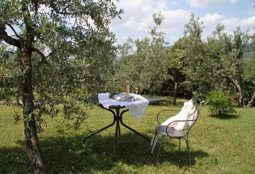ホテル Agriturismo Santo Stefano