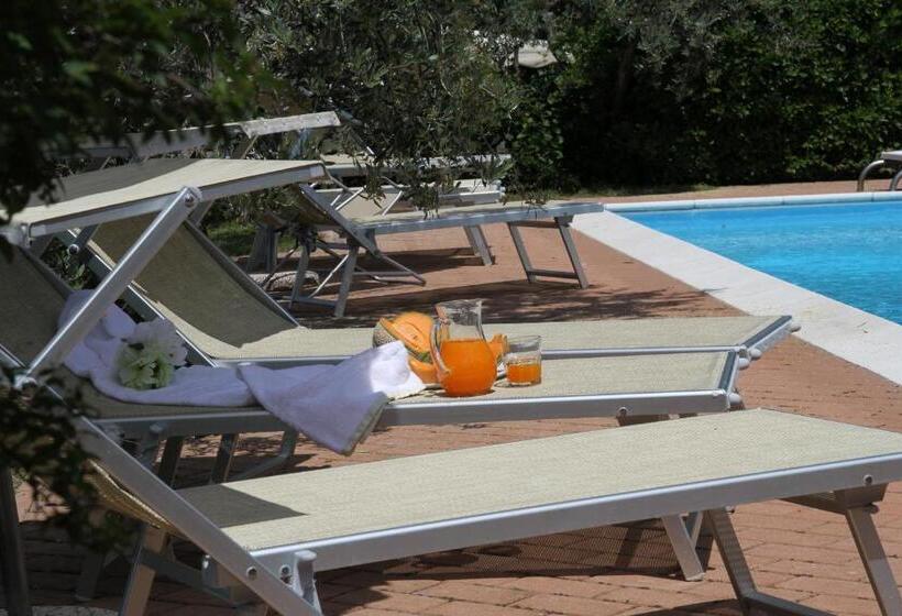 호텔 Agriturismo Santo Stefano