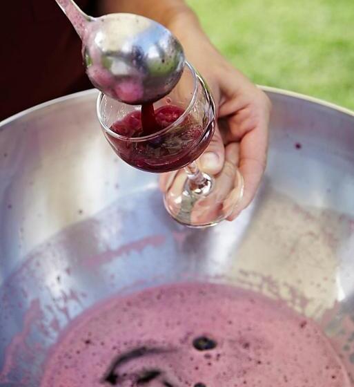 בית מלון כפרי Agriturismo Vignarello