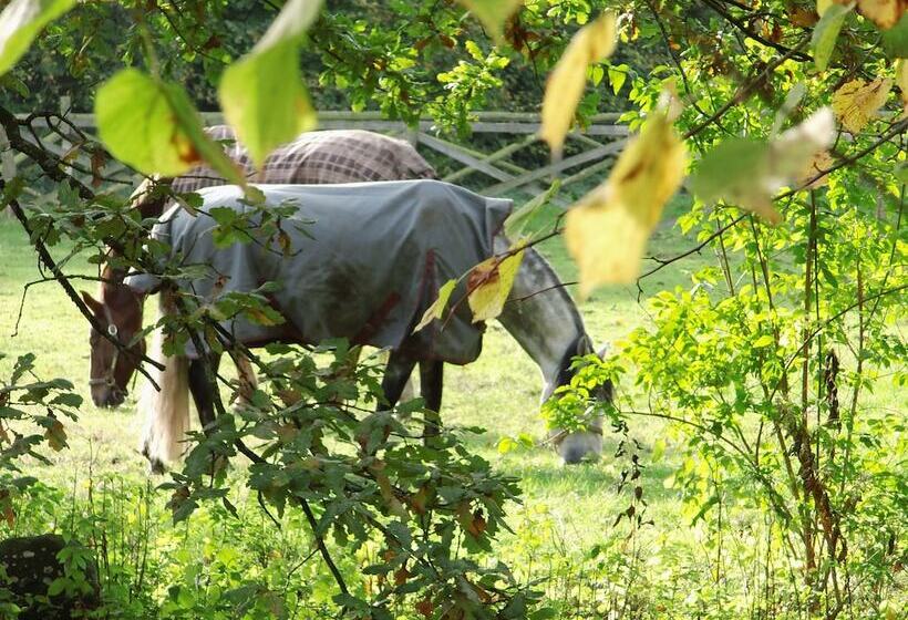 ホテル Herrenhaus Borghorst