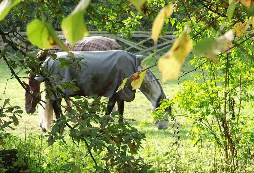 ホテル Herrenhaus Borghorst