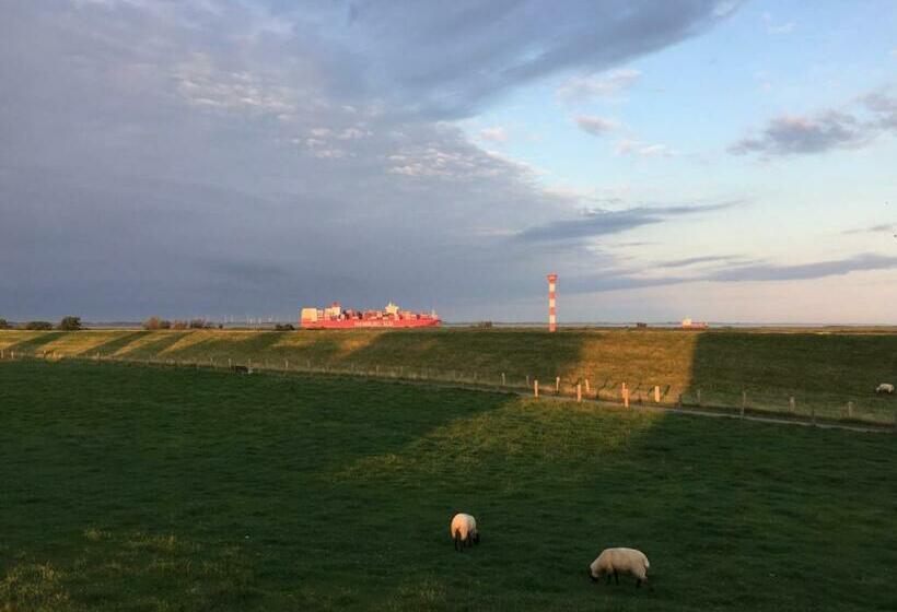 酒店 Margarethenhof