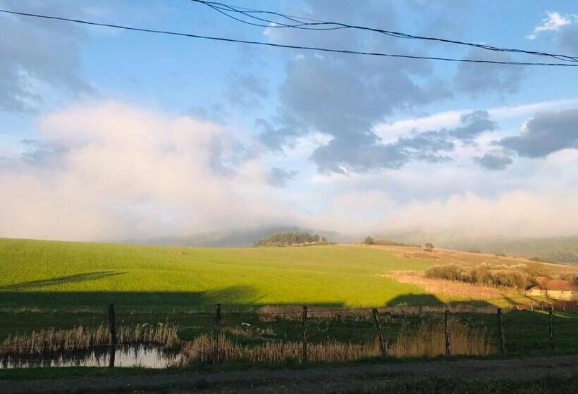 펜션 Aranyló Vendégház