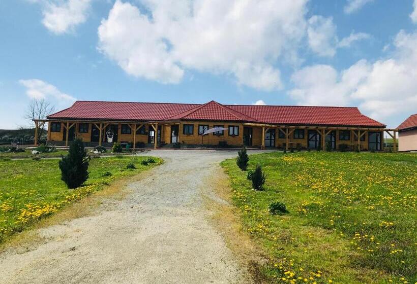 펜션 Aranyló Vendégház