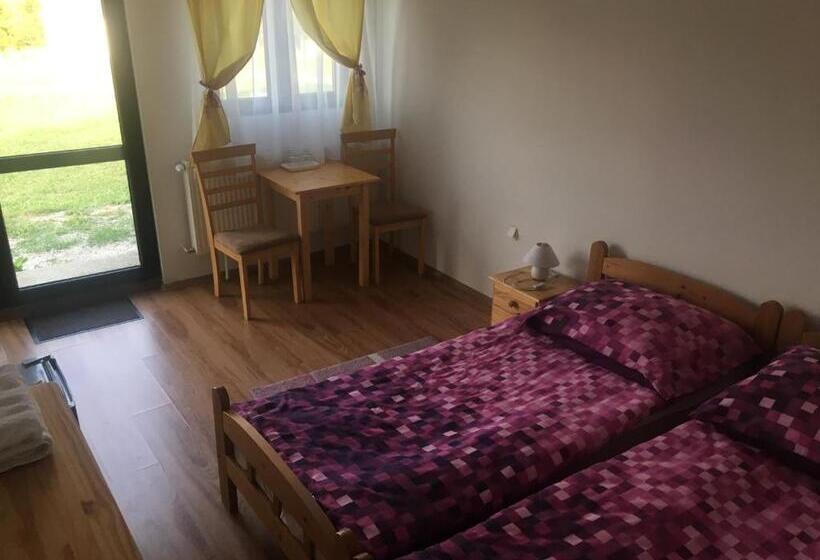 펜션 Aranyló Vendégház