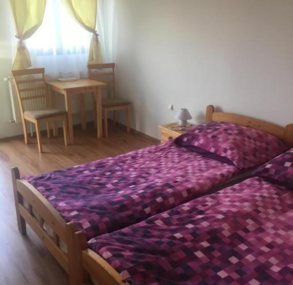 펜션 Aranyló Vendégház