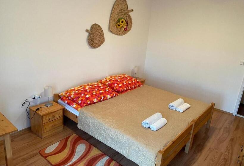 펜션 Aranyló Vendégház