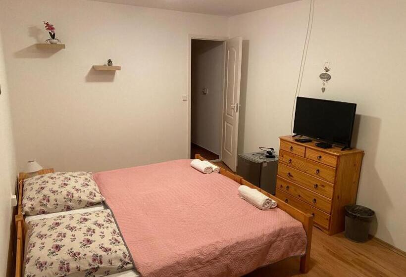 펜션 Aranyló Vendégház