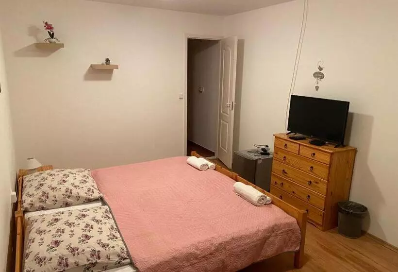 ペンション Aranyló Vendégház
